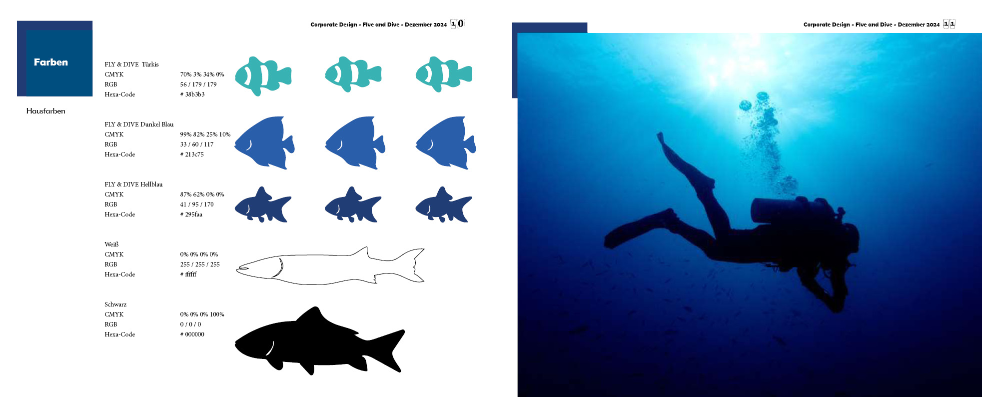 CD Manual Fly and Dive