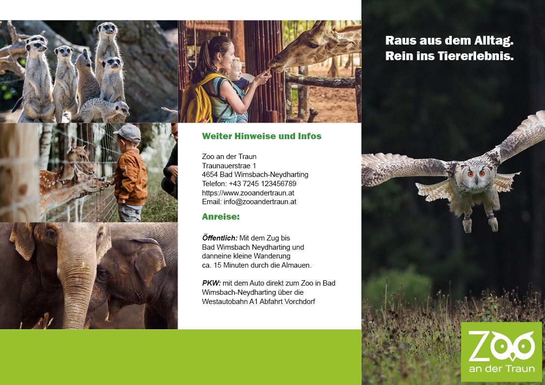 Wickelfalz-Flyer Zoo